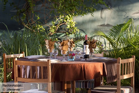 Nautilus : Photos nature, mer, hôtel, restaurant, bar, mer